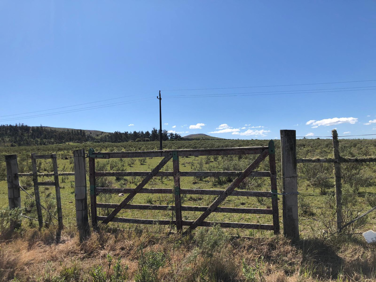 Campo en venta excelente lugar