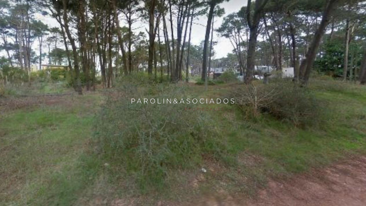 Montoya - GoPunta - Portal Inmobiliario de Punta del Este - Maldonado