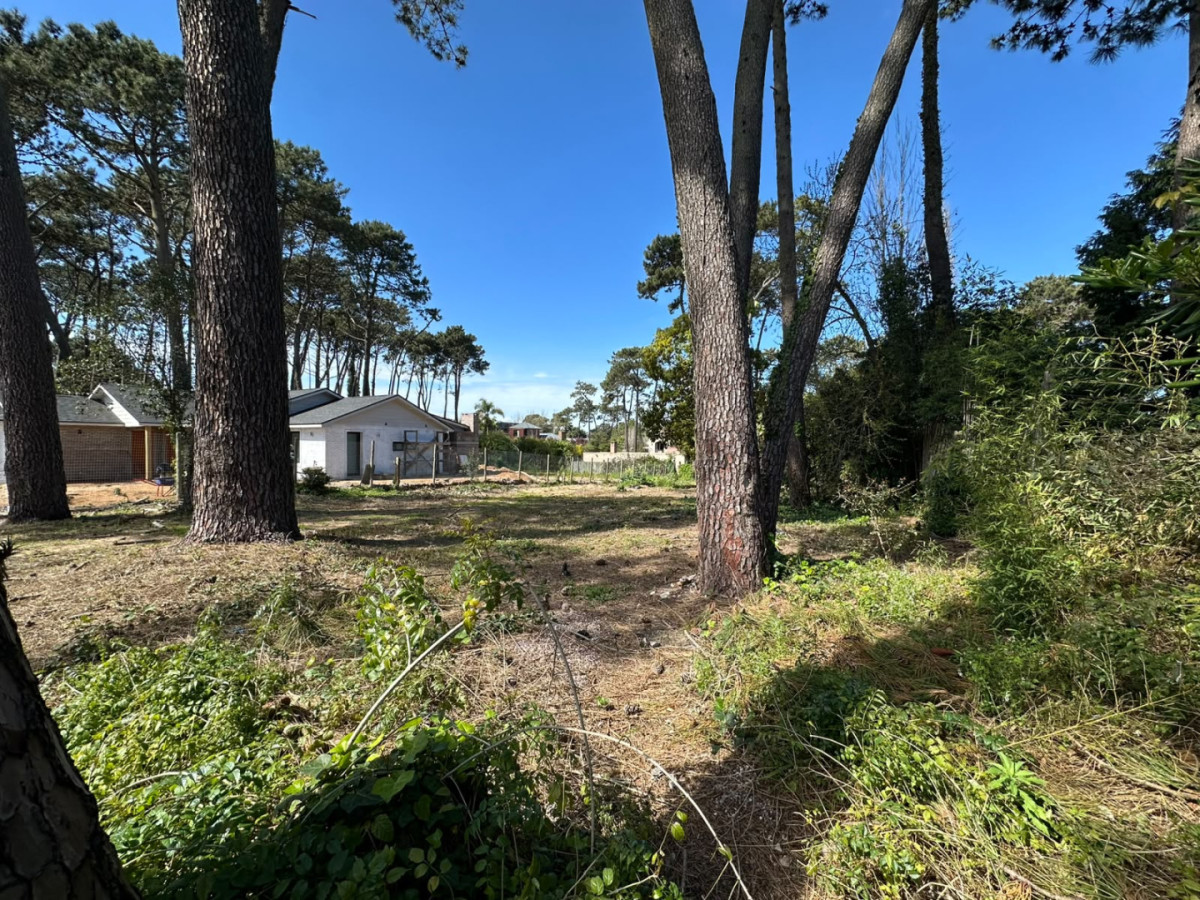Terreno en Venta en Marly, Punta del Este