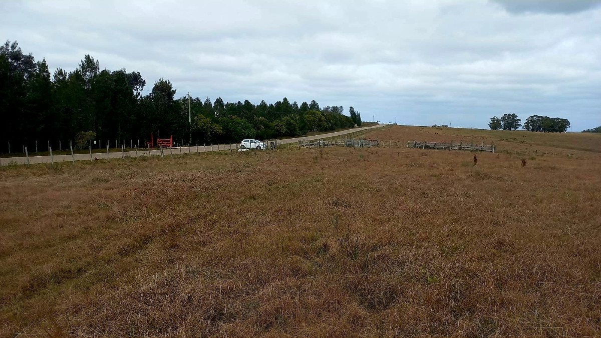 Imagen de Campo en Jose Ignacio