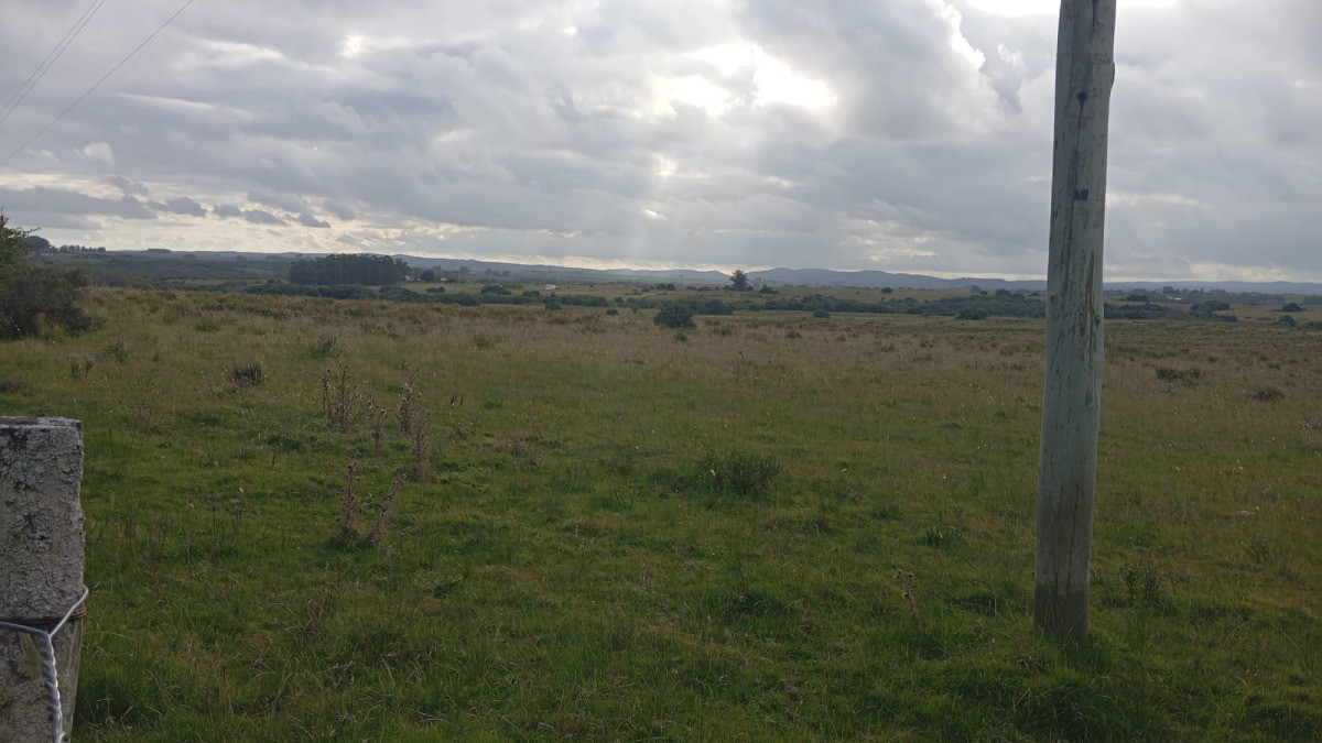 Imagen de Campo en Séptima Sección