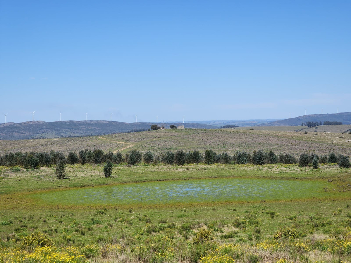 Imagen de Campo en Carapé