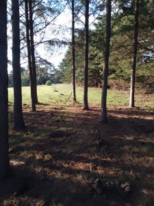 chacra a 20 m del centro de p este zona aeropuerto