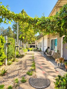 Venta casa Candy HOUSE 