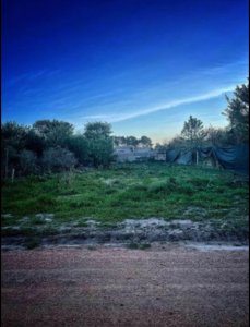 Oportunidad en Balneario Buenos Aires- zona tranquila proximo a zona rural a 6 cuadras del mar