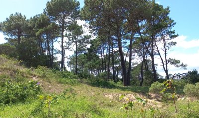 VENTA 1000 m2 EN RINCÓN DEL INDIO - ZONA PRÓXIMA ZONA FRANCA PUNTA DEL ESTE