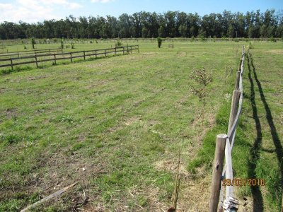 TERRENO EN MIRAMAR ACRES 2