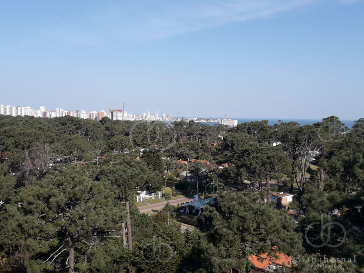Roosevelt - GoPunta - Portal Inmobiliario de Punta del Este - Maldonado