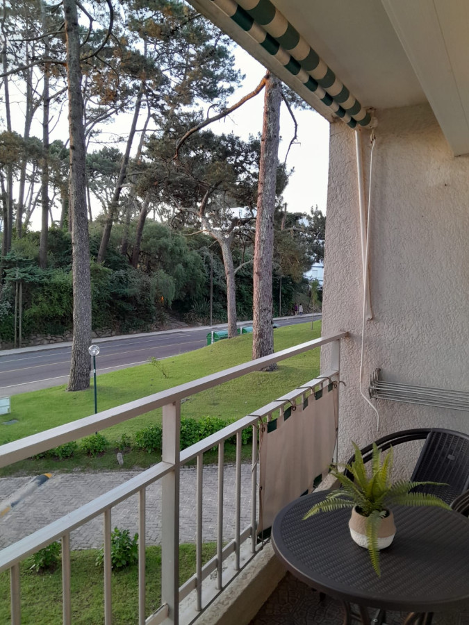 Apartamento en alquiler de 1 dormitorio