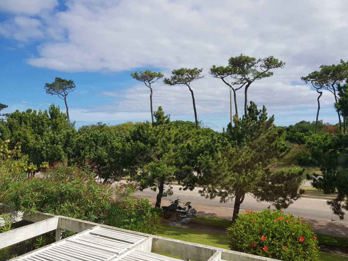 VENTA Y ALQUILER MANSA 