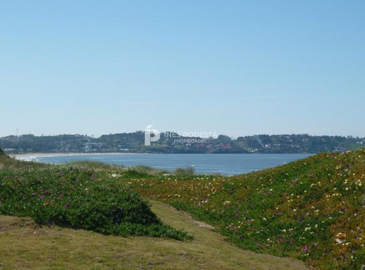 Tio Tom - GoPunta - Portal Inmobiliario de Punta del Este - Maldonado