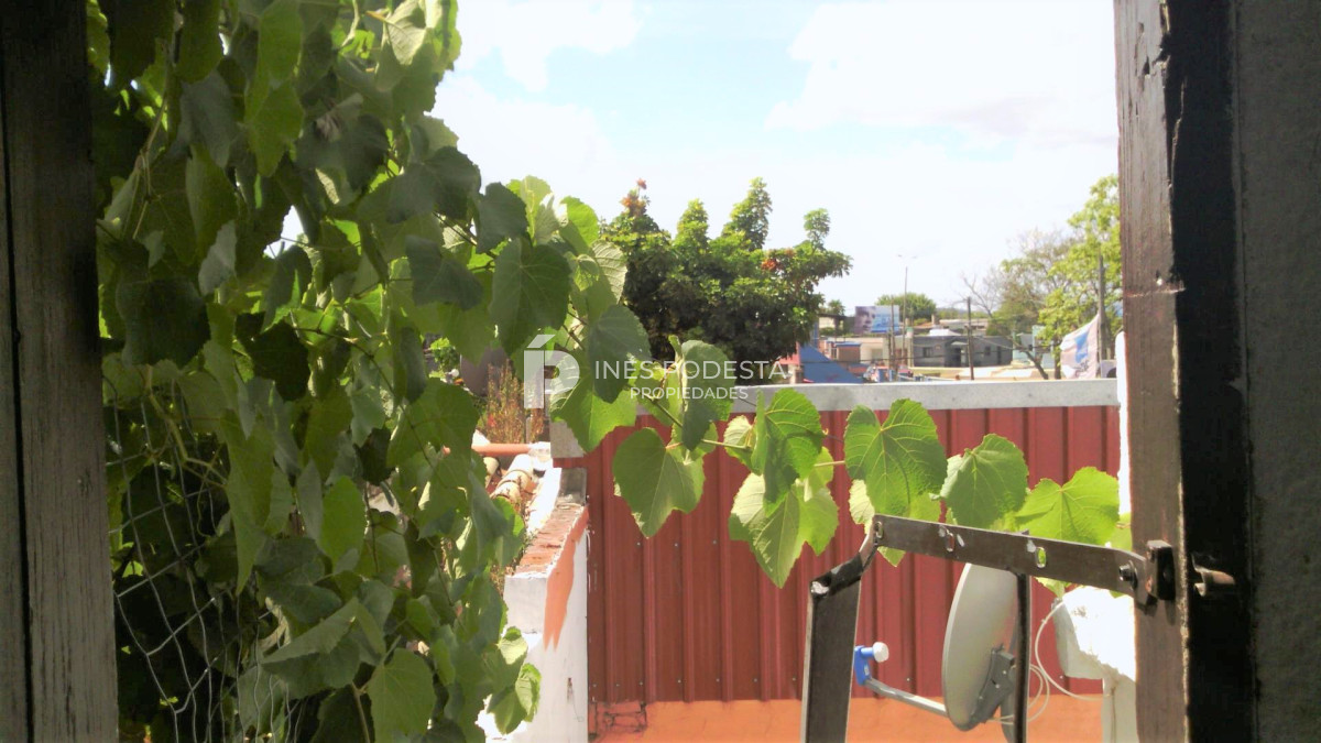 Centro Maldonado - GoPunta - Portal Inmobiliario de Punta del Este - Maldonado