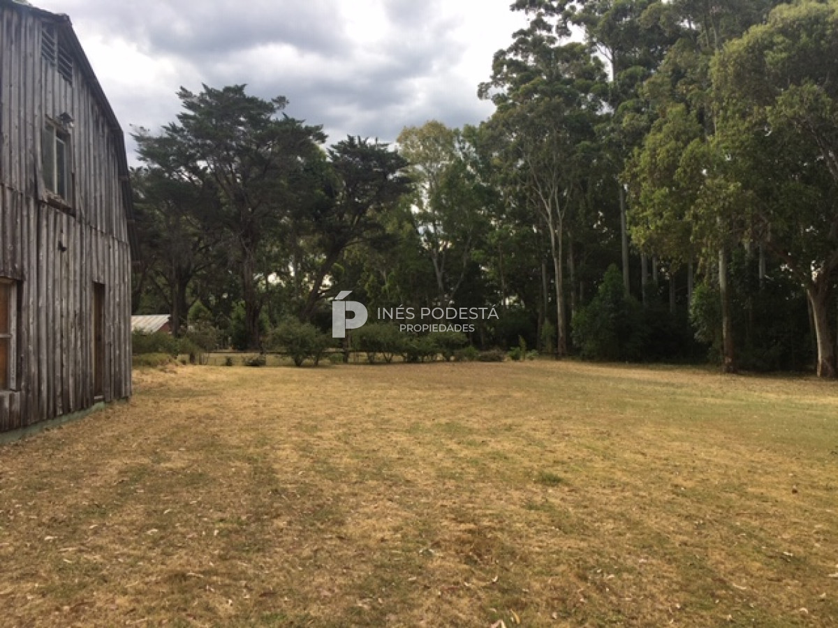 Camino Lussich - GoPunta - Portal Inmobiliario de Punta del Este - Maldonado