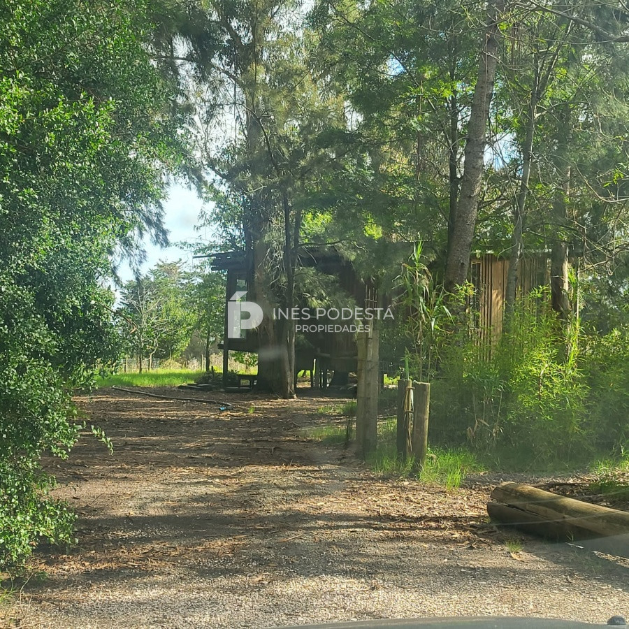 Propiedad - GoPunta - Portal Inmobiliario de Punta del Este - Maldonado