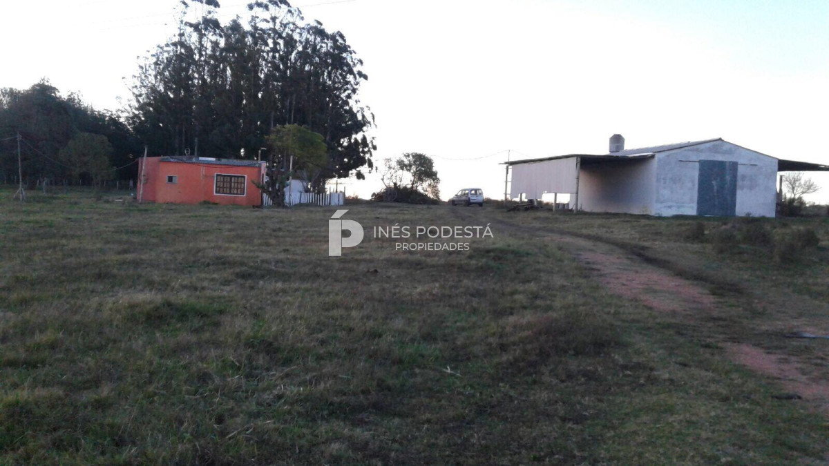 Chacra de 3 hectáreas - GoPunta - Portal Inmobiliario de Punta del Este - Maldonado