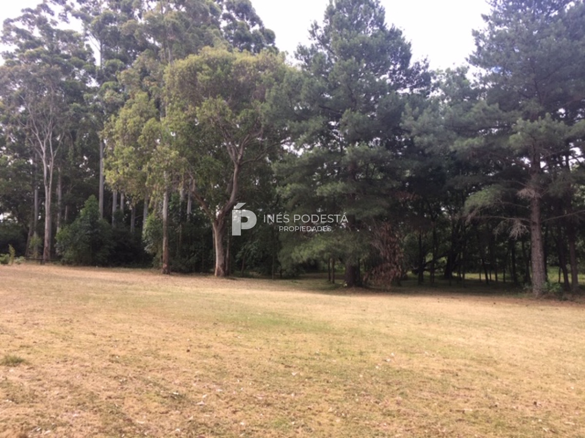Camino Lussich - GoPunta - Portal Inmobiliario de Punta del Este - Maldonado