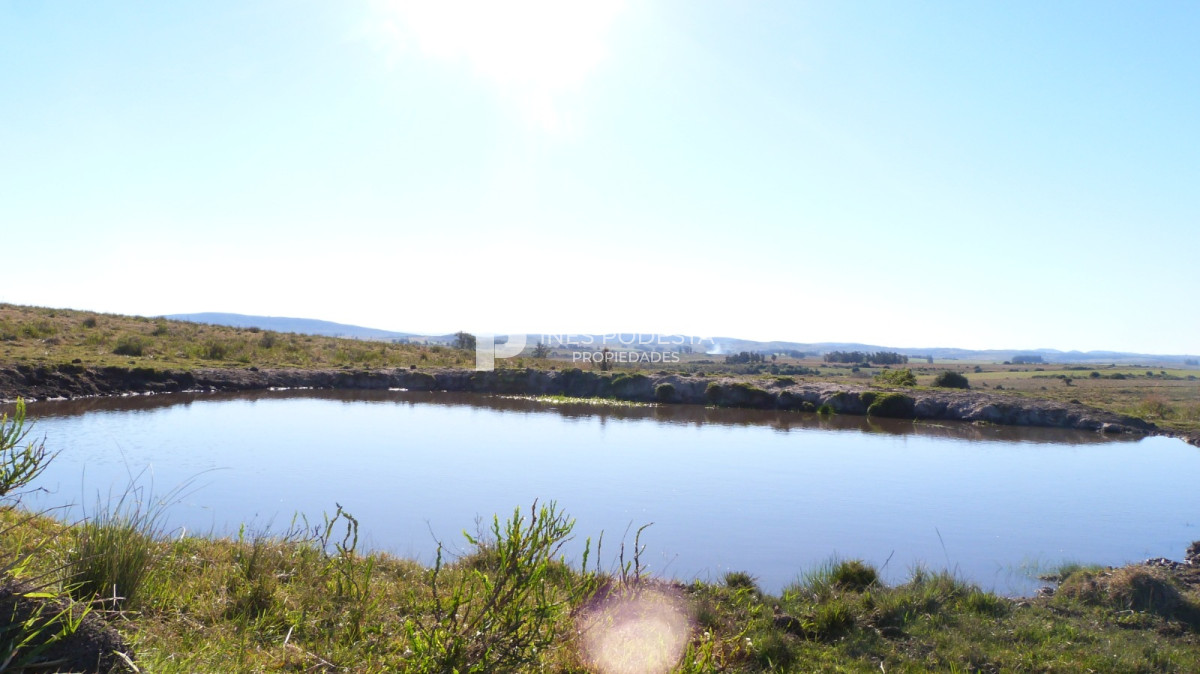 Propiedad - GoPunta - Portal Inmobiliario de Punta del Este - Maldonado