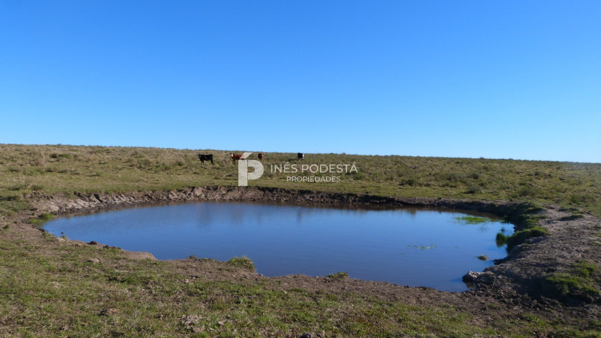 Propiedad - GoPunta - Portal Inmobiliario de Punta del Este - Maldonado