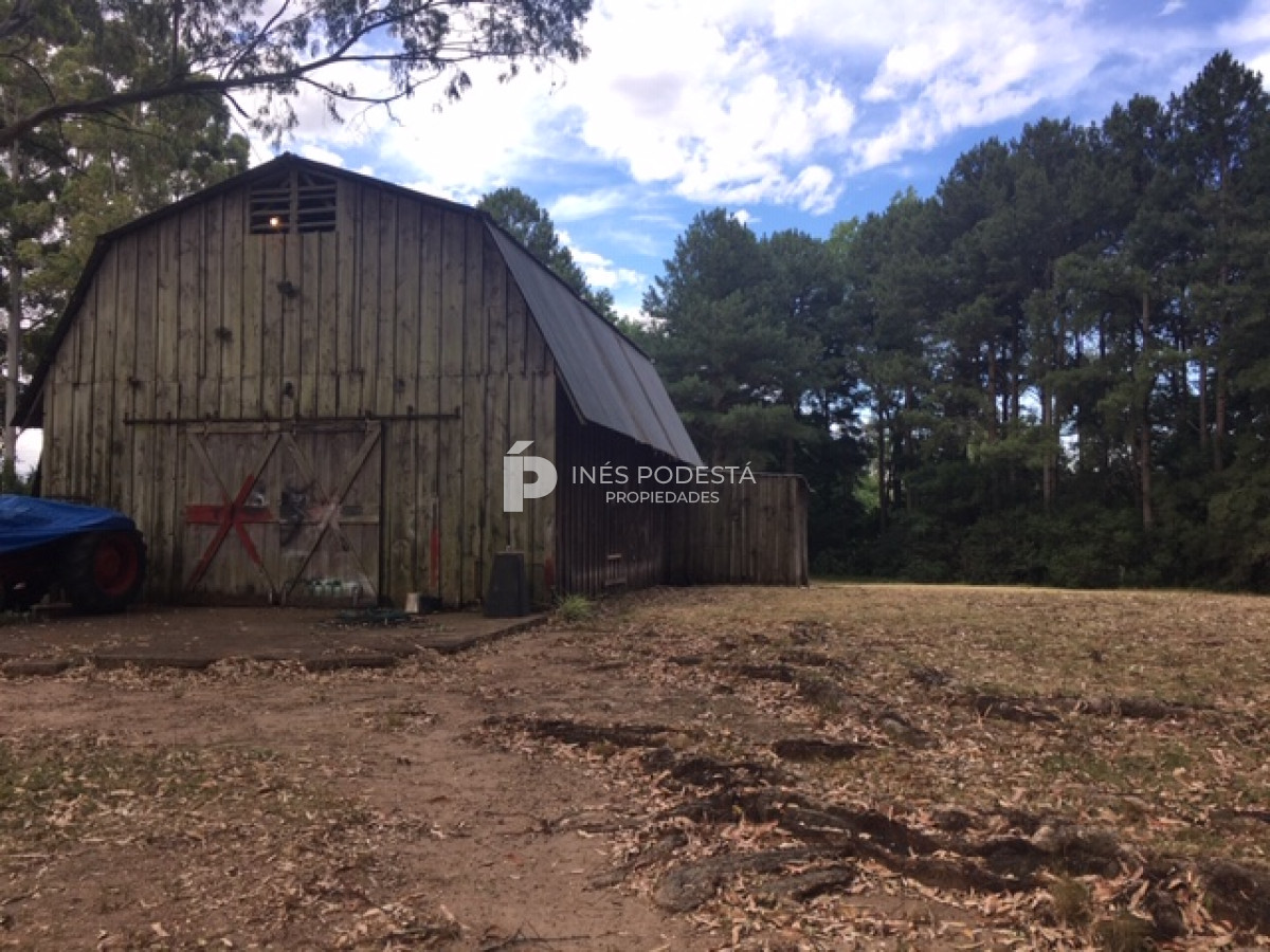 Camino Lussich - GoPunta - Portal Inmobiliario de Punta del Este - Maldonado