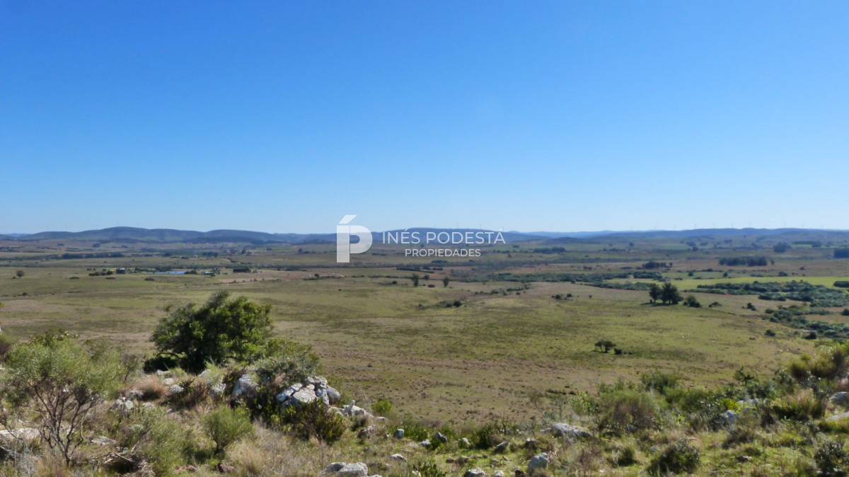 Propiedad - GoPunta - Portal Inmobiliario de Punta del Este - Maldonado