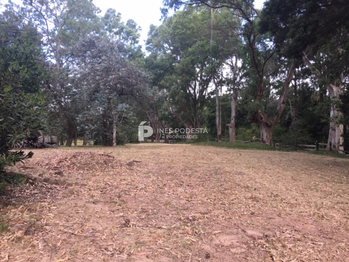 Camino Lussich - GoPunta - Portal Inmobiliario de Punta del Este - Maldonado