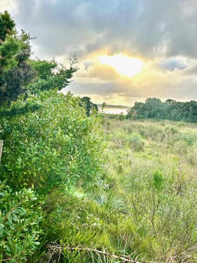 Venta lote 5 hectáreas sobre Laguna del Sauce