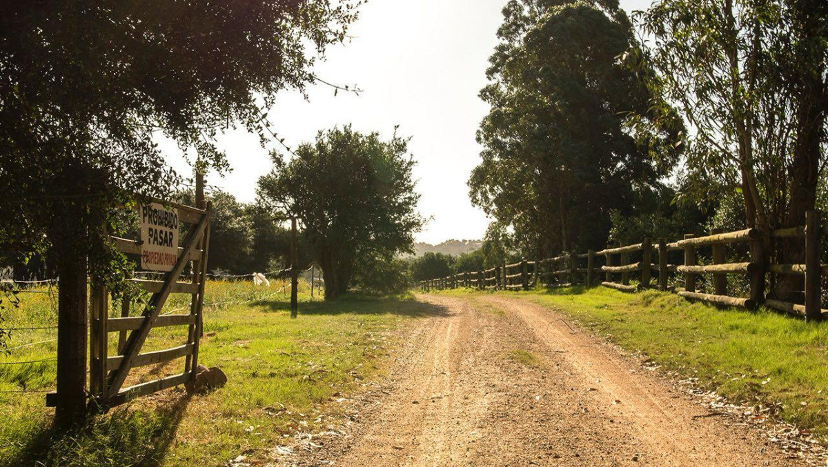 Terreno en Venta de 11 hectáreas en La Pataia 