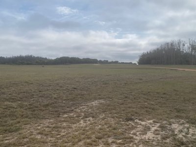 las garzas, gran lote prÓximo al mar - ipd38591t