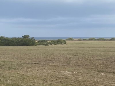 las garzas, gran lote prÓximo al mar - ipd38591t