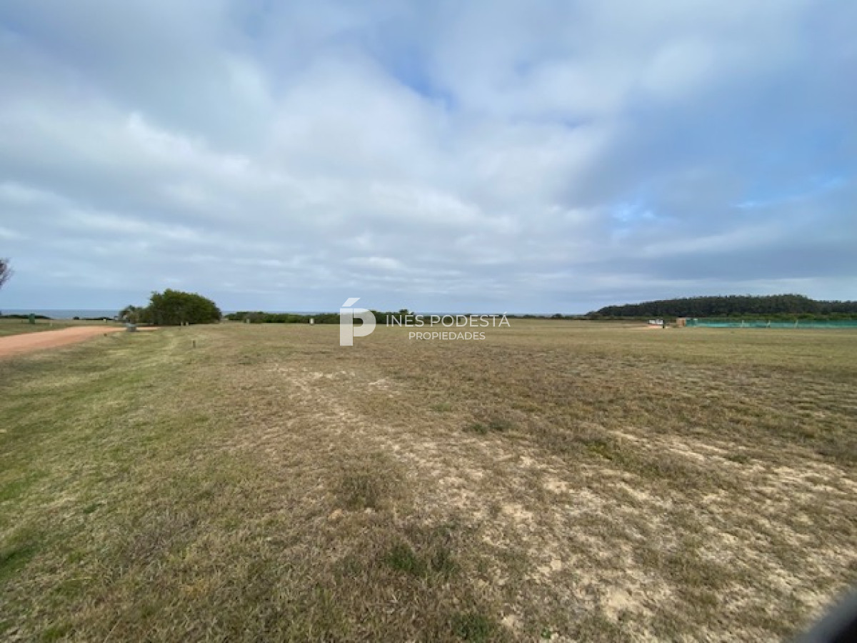 Las Garzas - GoPunta - Portal Inmobiliario de Punta del Este - Maldonado