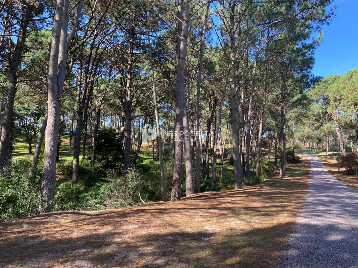 Propiedad - GoPunta - Portal Inmobiliario de Punta del Este - Maldonado
