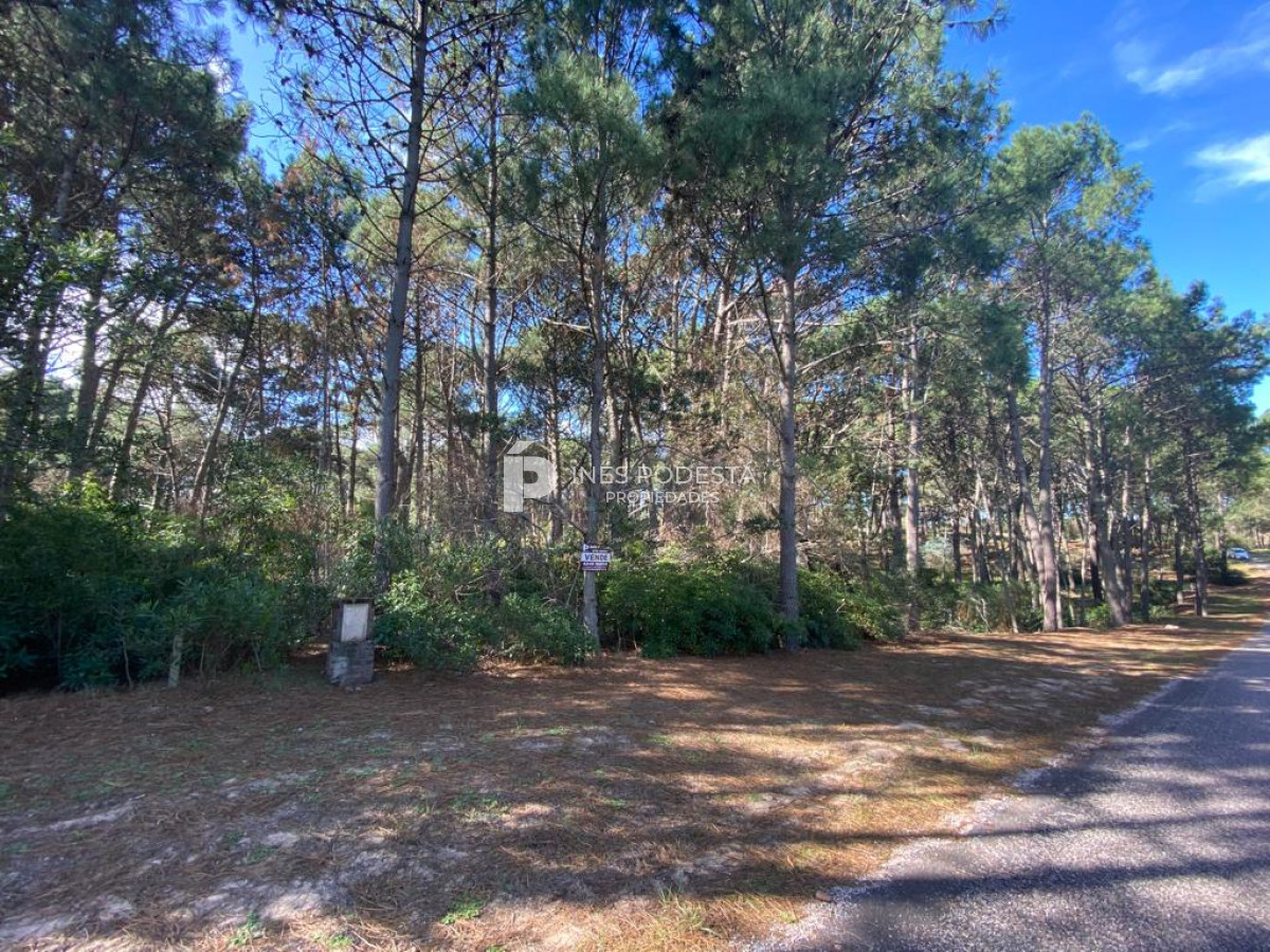 Propiedad - GoPunta - Portal Inmobiliario de Punta del Este - Maldonado