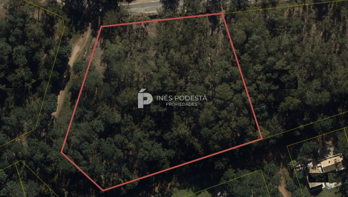 Burnett - GoPunta - Portal Inmobiliario de Punta del Este - Maldonado