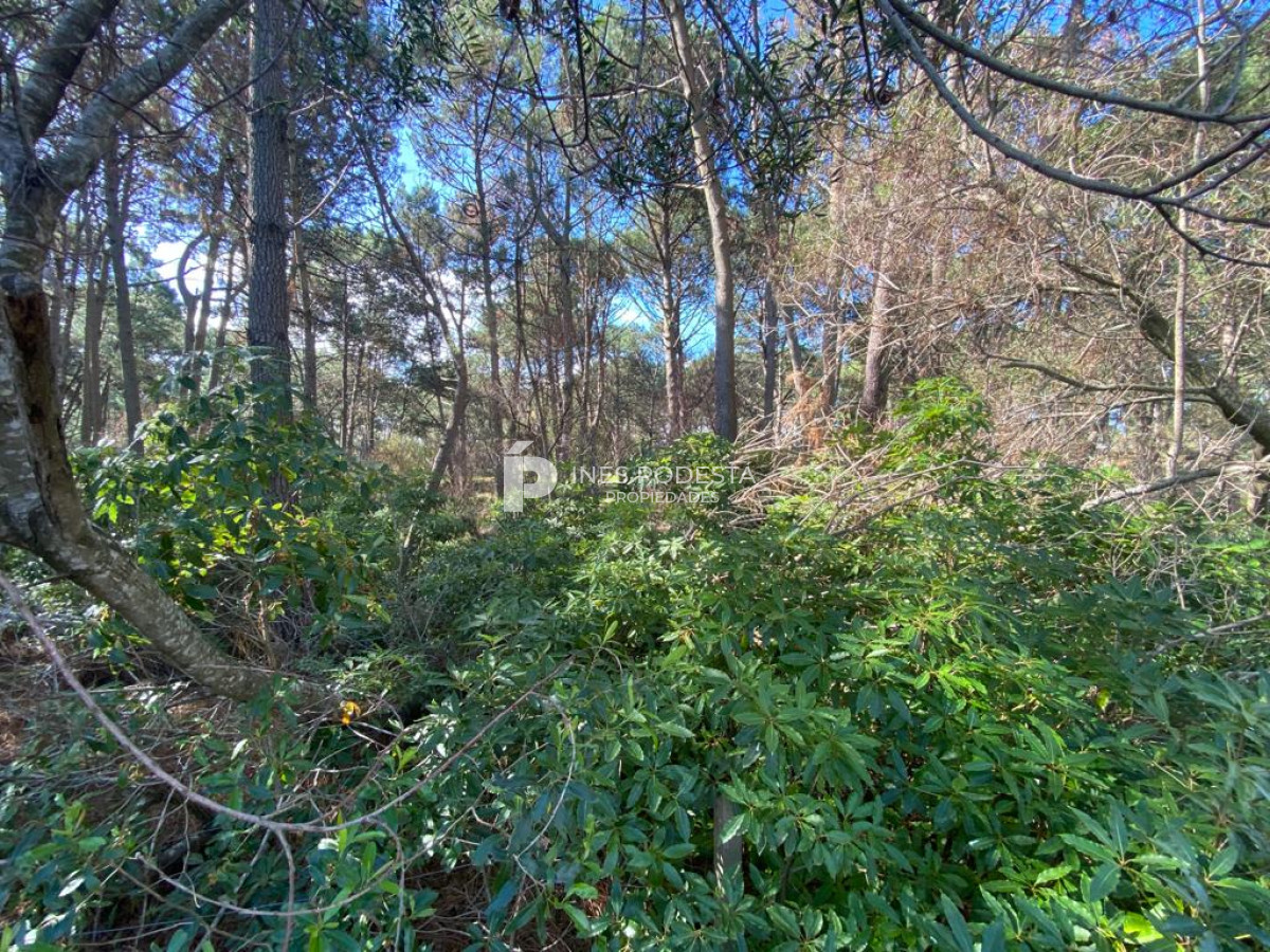 Propiedad - GoPunta - Portal Inmobiliario de Punta del Este - Maldonado