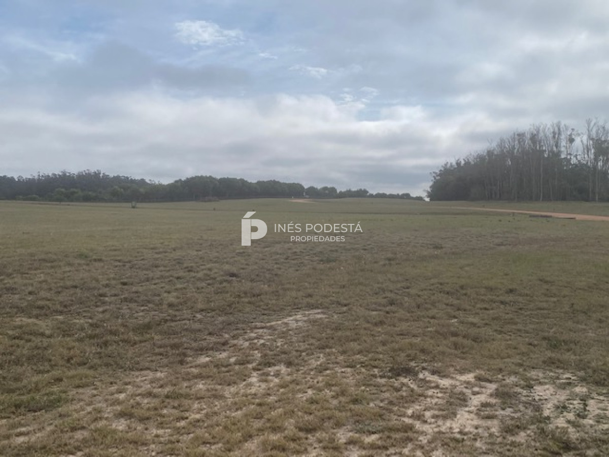 Las Garzas - GoPunta - Portal Inmobiliario de Punta del Este - Maldonado
