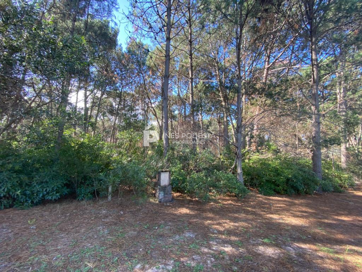 Propiedad - GoPunta - Portal Inmobiliario de Punta del Este - Maldonado