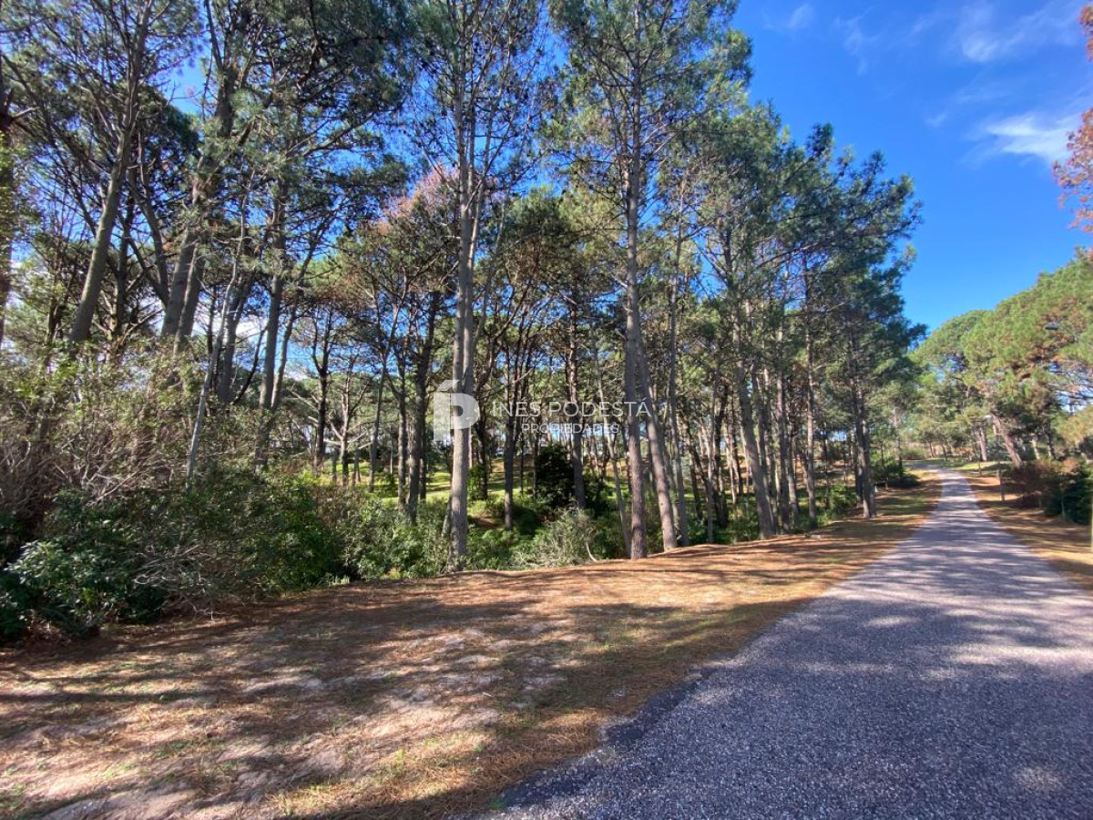 Propiedad - GoPunta - Portal Inmobiliario de Punta del Este - Maldonado