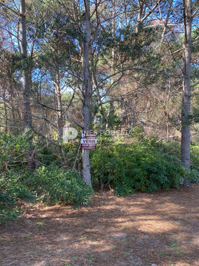 Propiedad - GoPunta - Portal Inmobiliario de Punta del Este - Maldonado