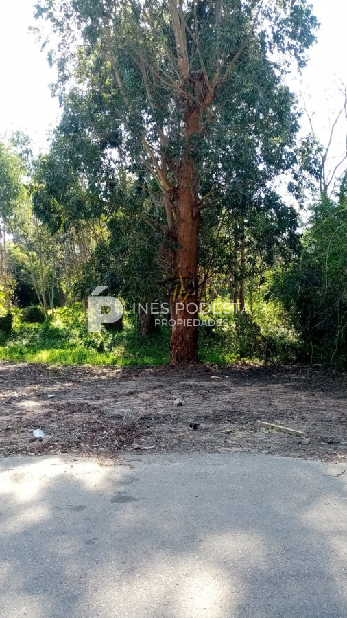 Golf - GoPunta - Portal Inmobiliario de Punta del Este - Maldonado