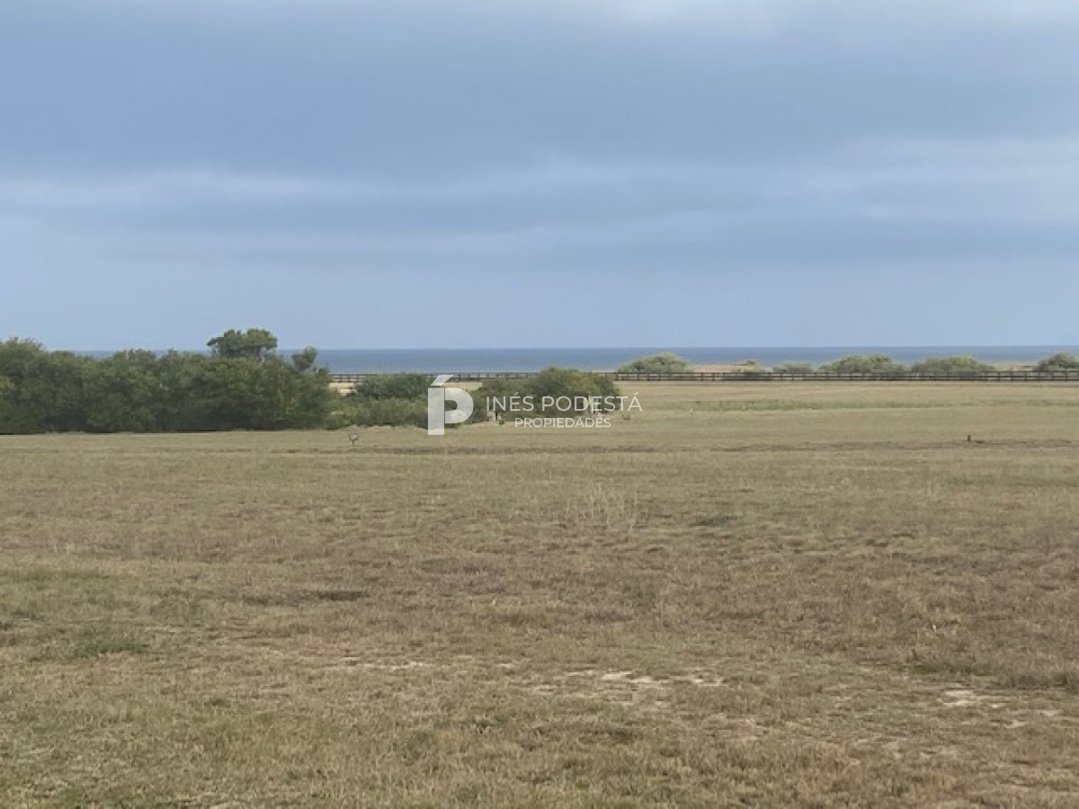 Las Garzas - GoPunta - Portal Inmobiliario de Punta del Este - Maldonado