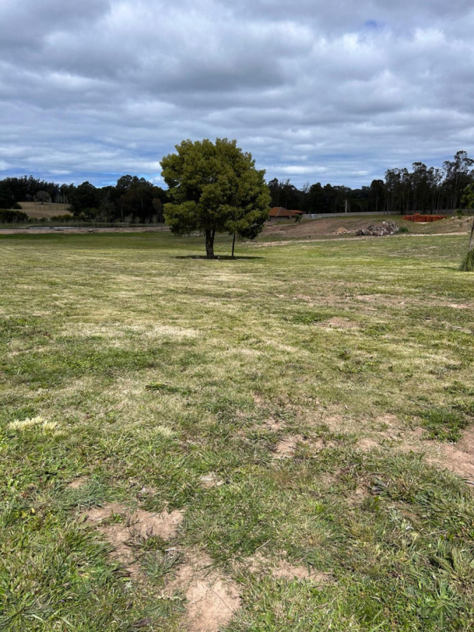 LOTE EN CHACRA DEL GOLF-PUEBLO MIO 