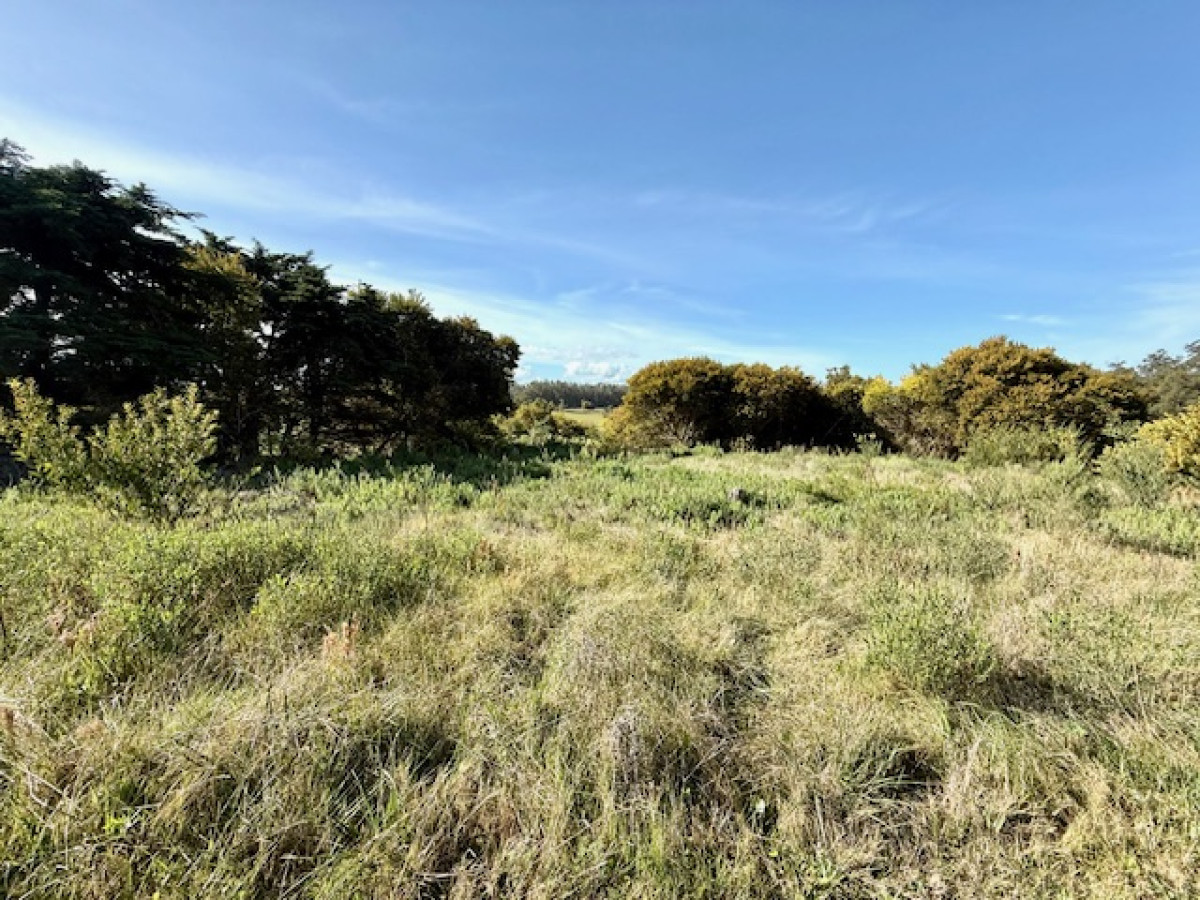 Lote de 500 m2 en Mangrullos