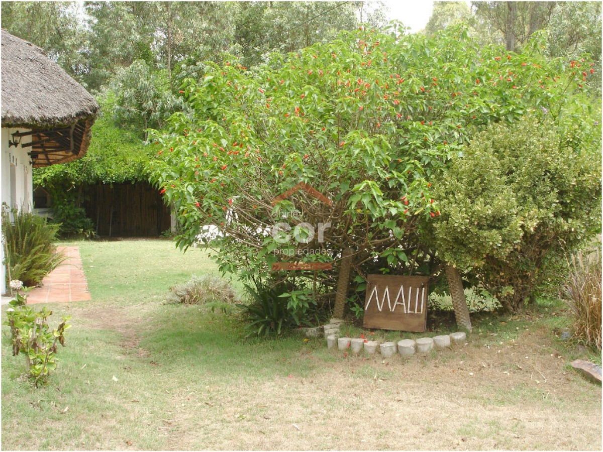 El Tesoro - GoPunta - Portal Inmobiliario de Punta del Este - Maldonado