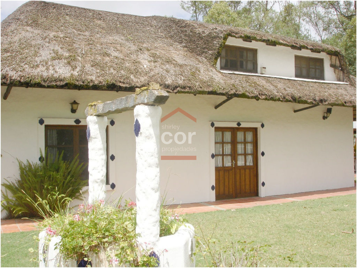 El Tesoro - GoPunta - Portal Inmobiliario de Punta del Este - Maldonado