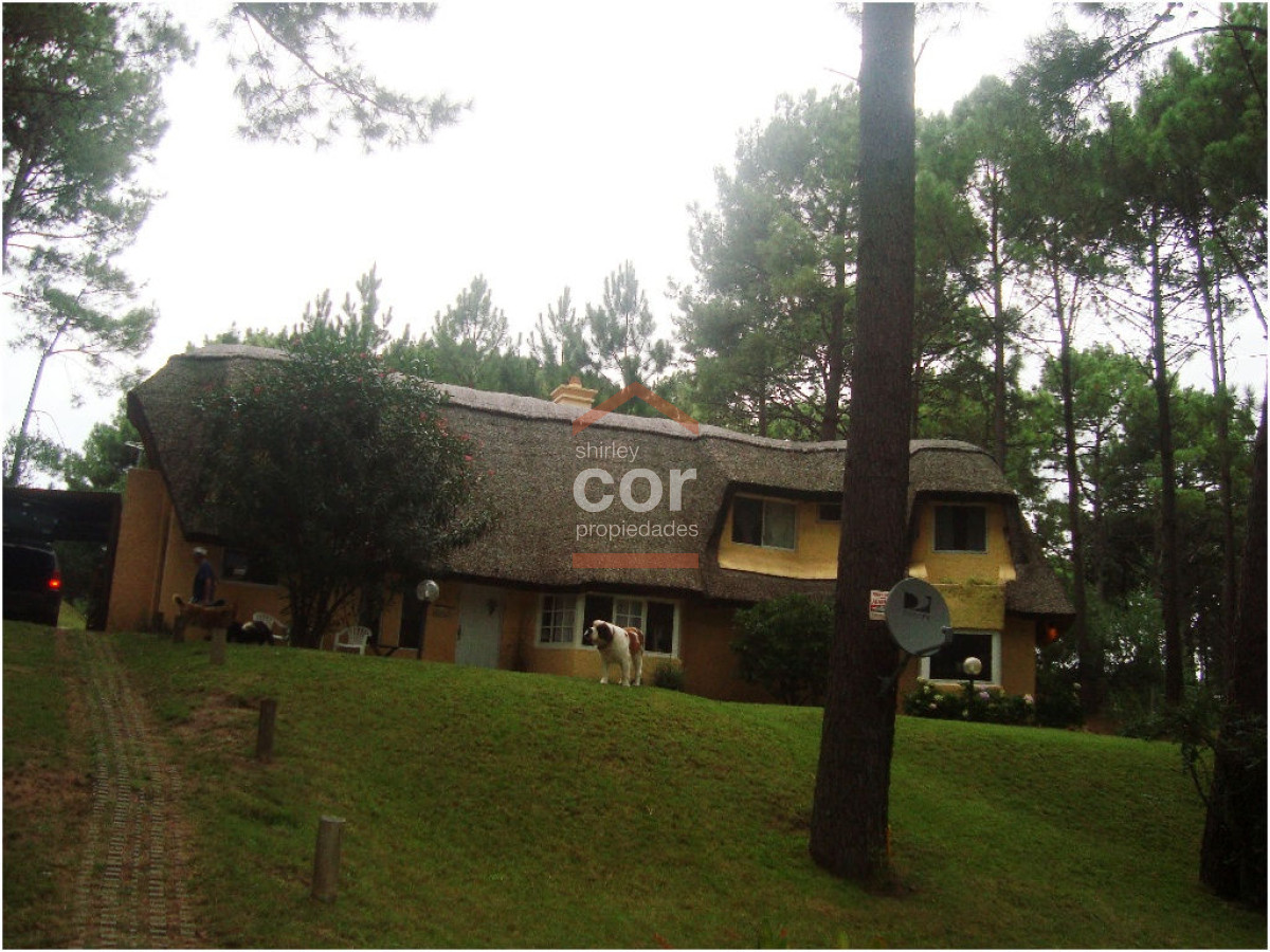 Punta Ballena - GoPunta - Portal Inmobiliario de Punta del Este - Maldonado