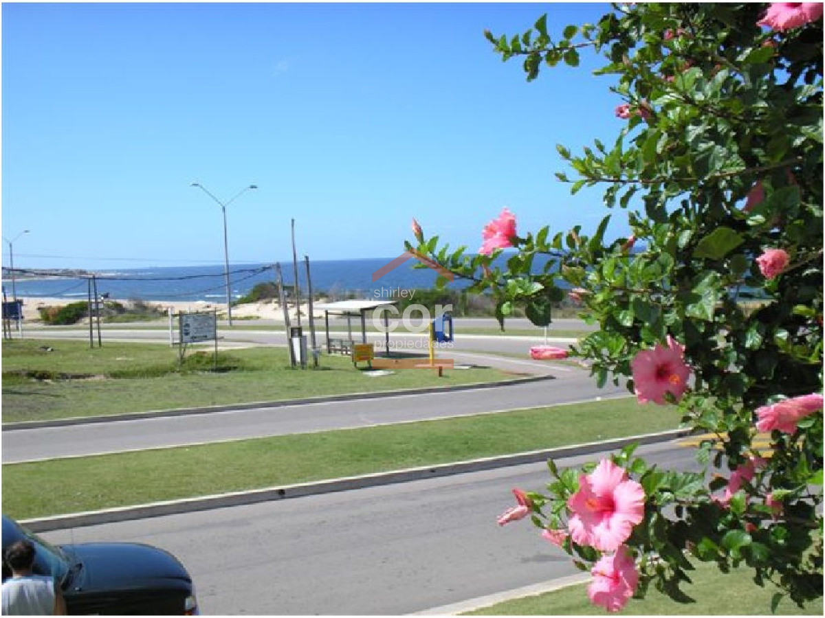 Montoya - GoPunta - Portal Inmobiliario de Punta del Este - Maldonado