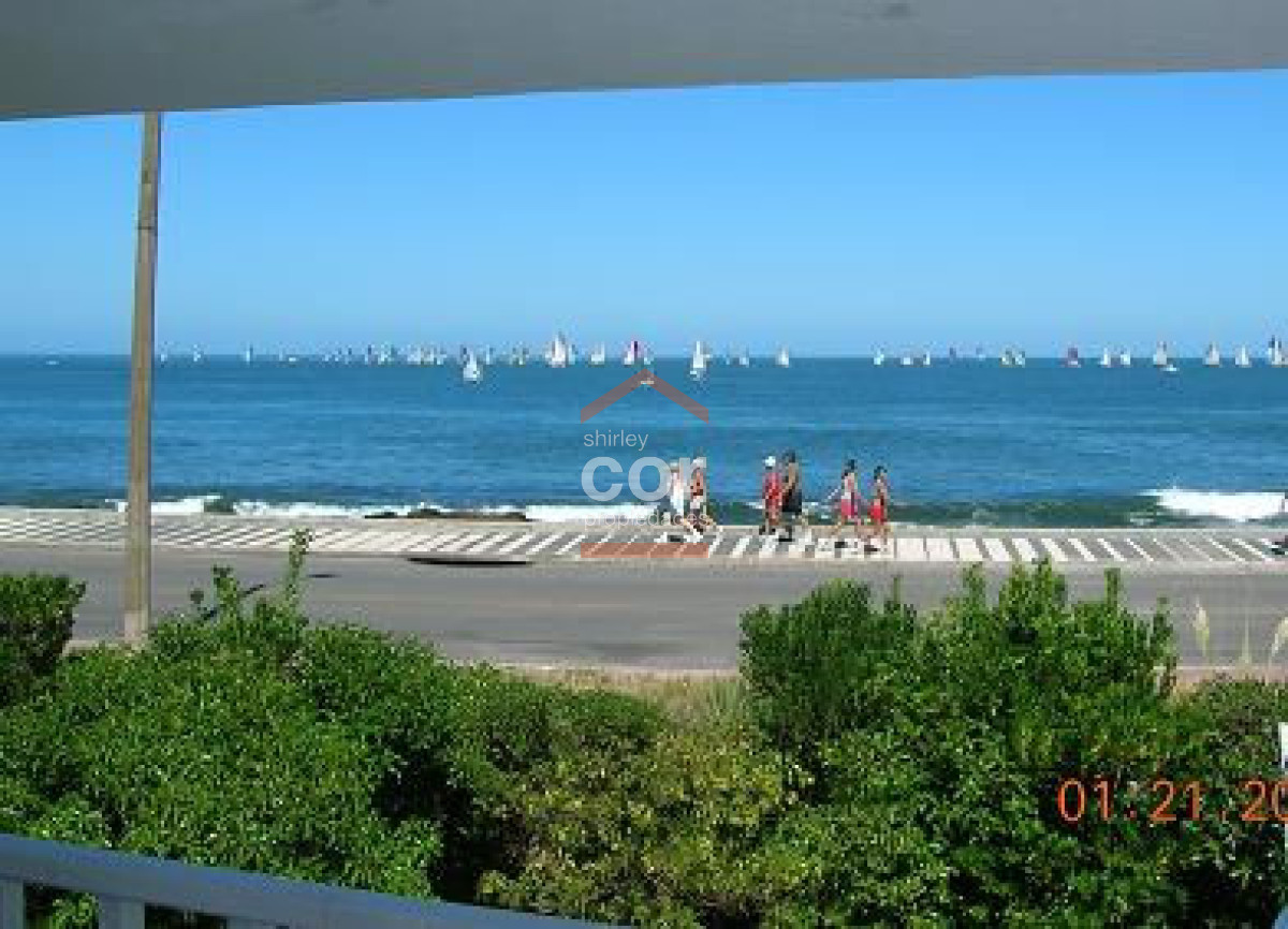 Peninsula - GoPunta - Portal Inmobiliario de Punta del Este - Maldonado