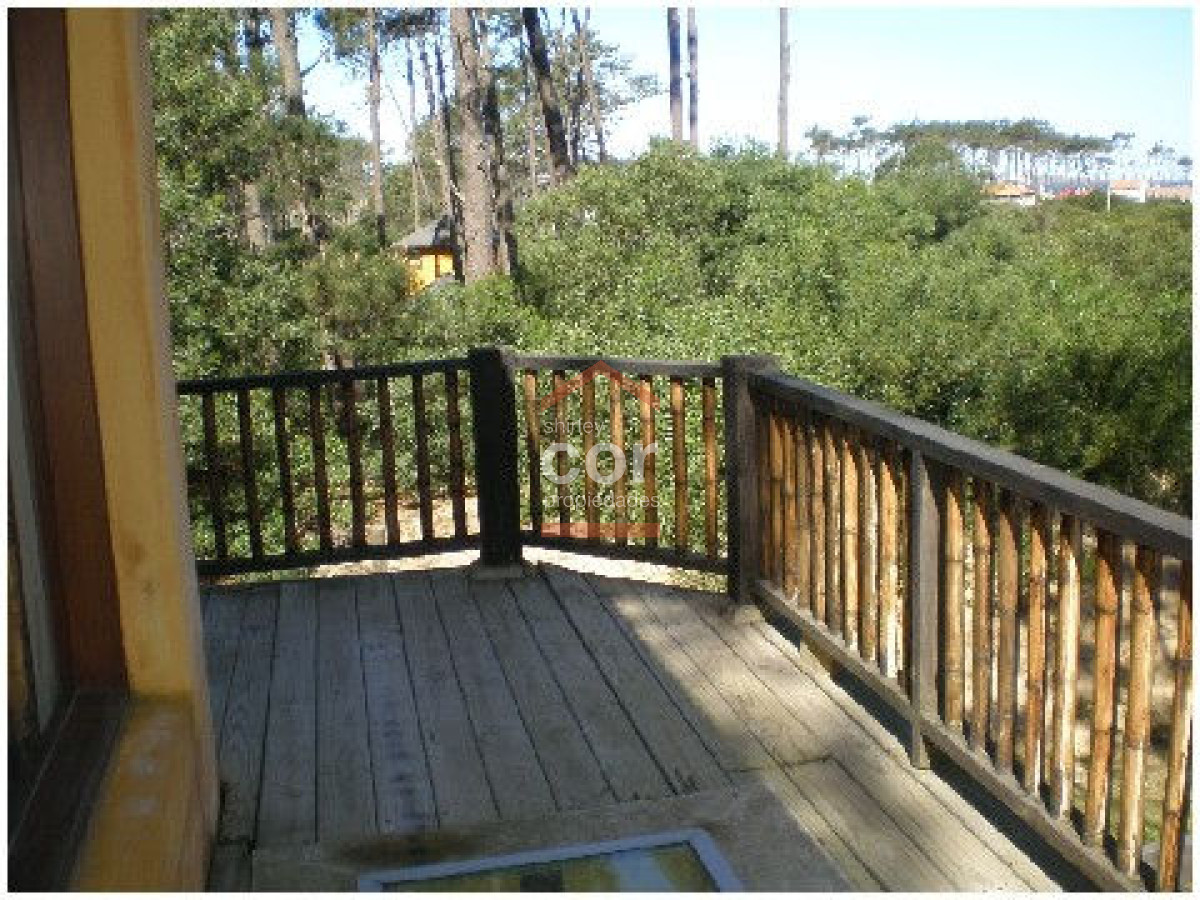 Chihuahua - GoPunta - Portal Inmobiliario de Punta del Este - Maldonado