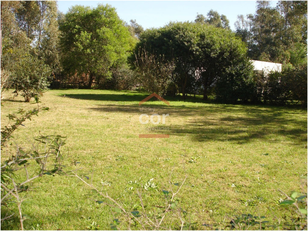 El Tesoro - GoPunta - Portal Inmobiliario de Punta del Este - Maldonado