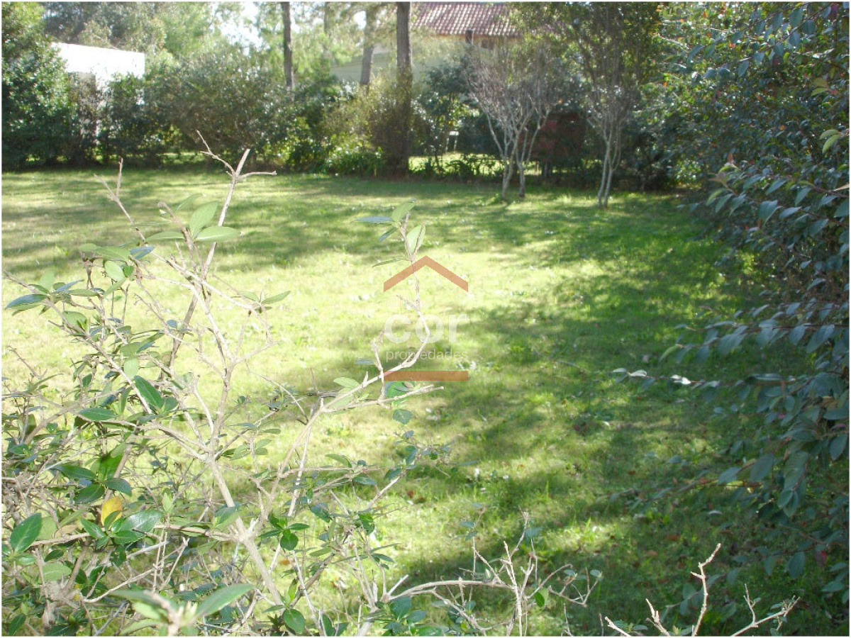 El Tesoro - GoPunta - Portal Inmobiliario de Punta del Este - Maldonado